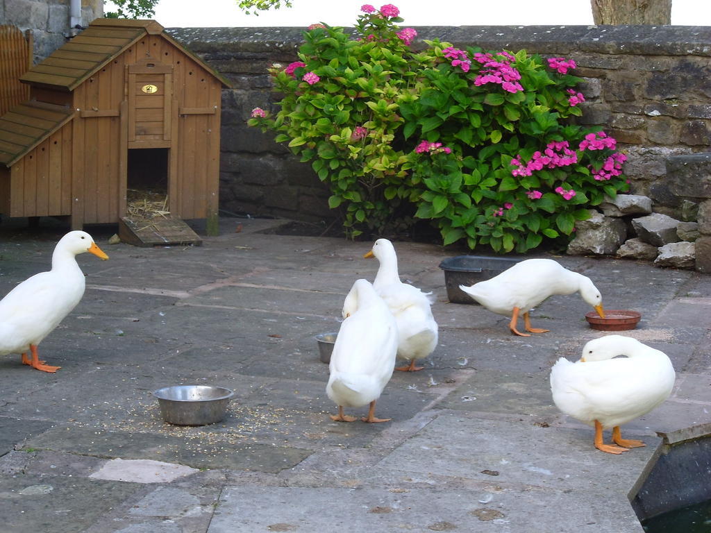 Tithe Barn Bed And Breakfast Carnforth Luaran gambar